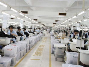 内衣厂家为何信赖波而朵 品质、创新与服务的三重保障