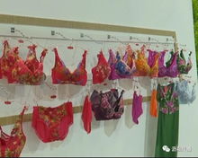 大沥经济资讯 盐步内衣企业细分产品抢占市场份额
